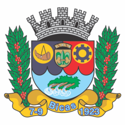 Brasão de Bicas
